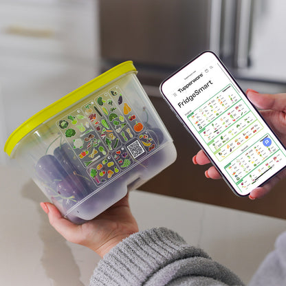 Petit contenant Intelli-frais® profond