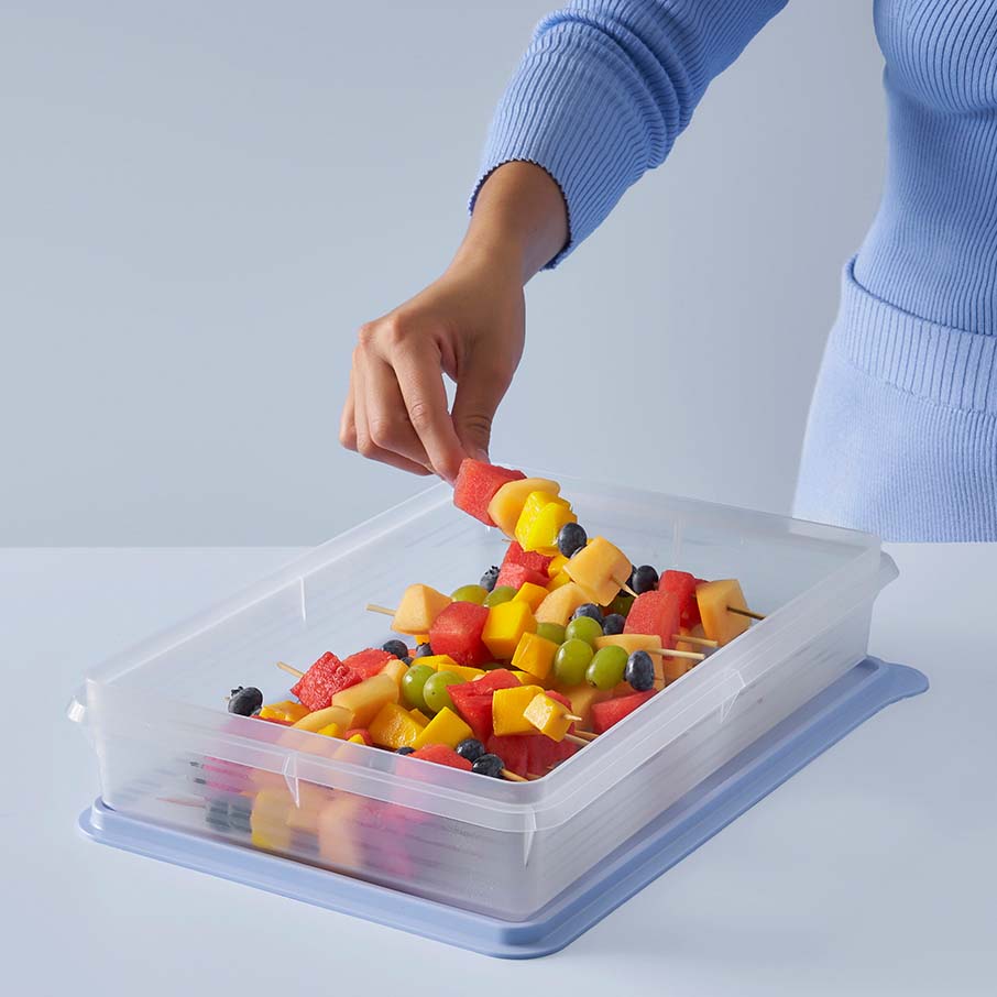 Snack-Stor® Large Container – Tupperware CA
