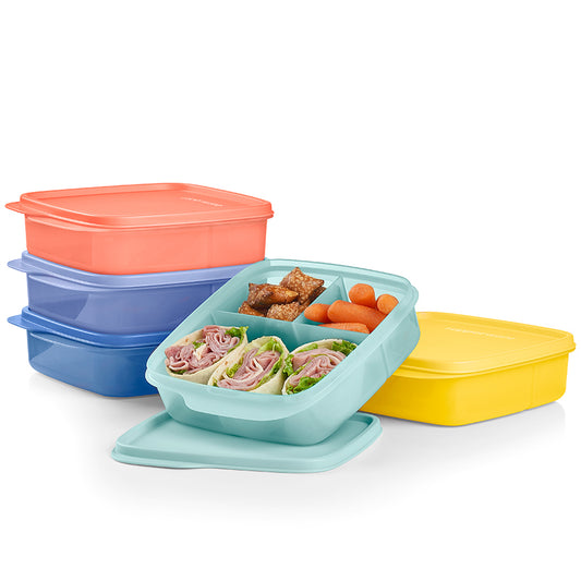 Eco+ Lunch-It® Containers (Set of 5)