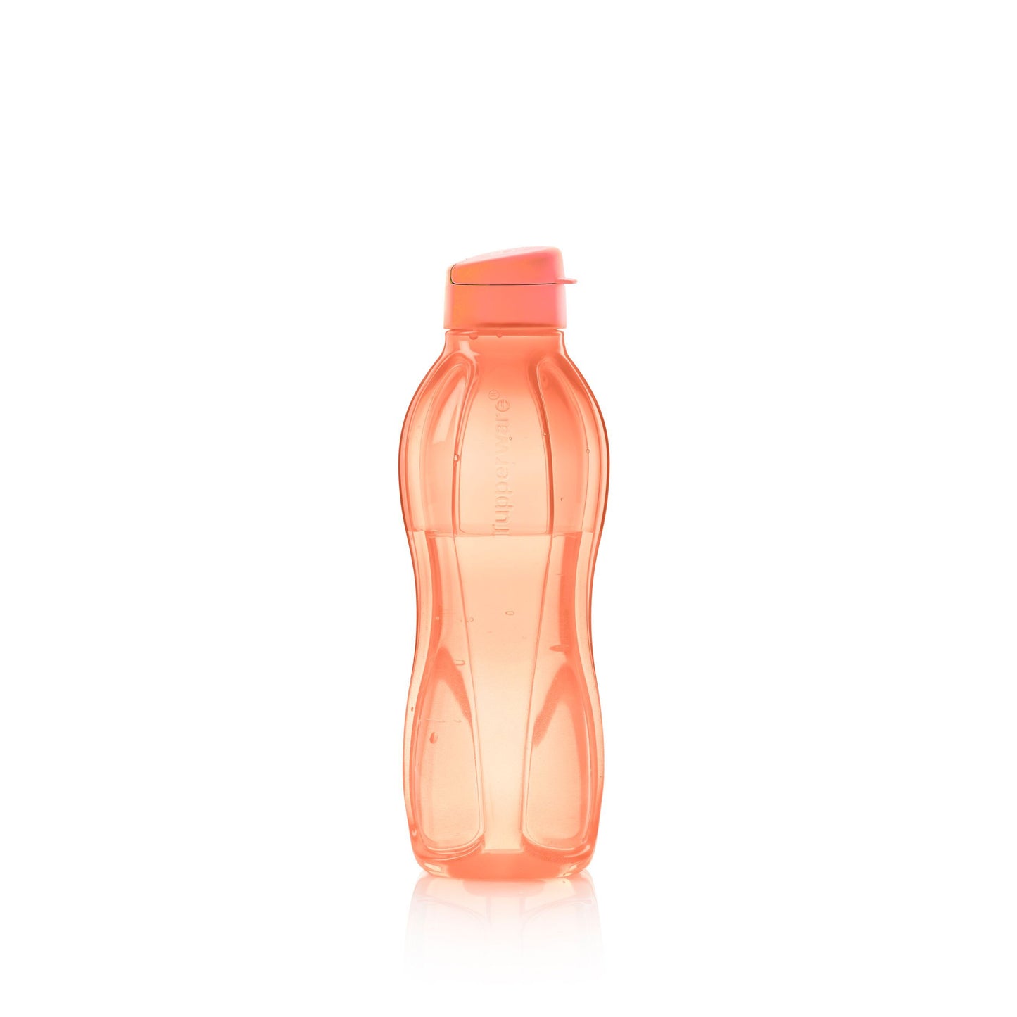 Eco+ Small Water Bottle 16oz